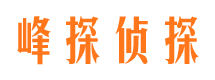 泾川市侦探公司